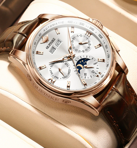 Luxury Automatic Watch Leather Sapphire Waterproof Sports Moon Phase Wristwatch