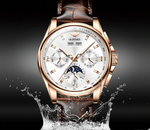Luxury Automatic Watch Leather Sapphire Waterproof Sports Moon Phase Wristwatch